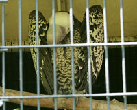 Zoo
